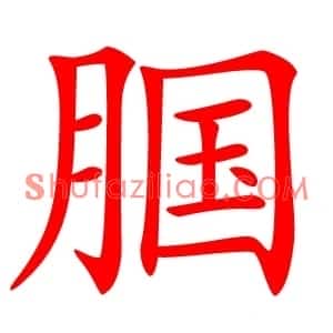 腘