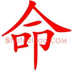 命