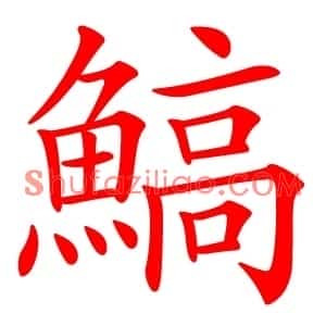 鰝