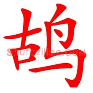 鸪