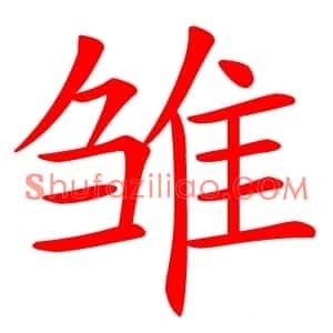 雏