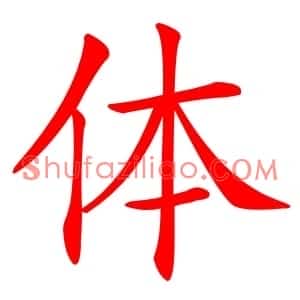 体