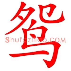 鸳