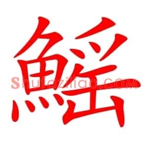 鰩