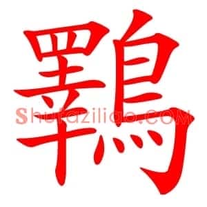 鸅