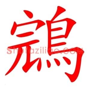 鵍