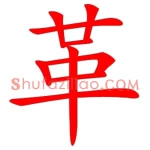 革