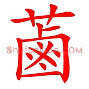 蓾