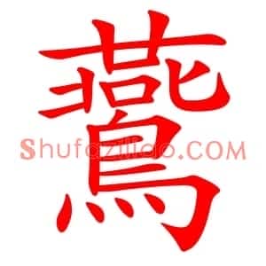 鷰