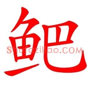 鲃