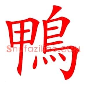 鴨