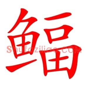 鲾