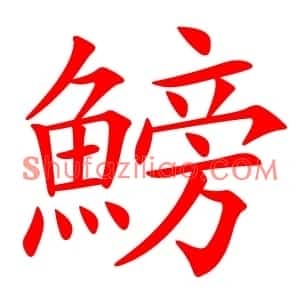 鰟