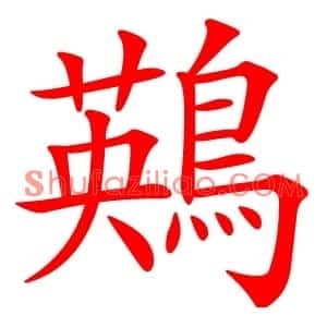 鶧