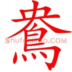 鴦
