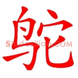 鸵