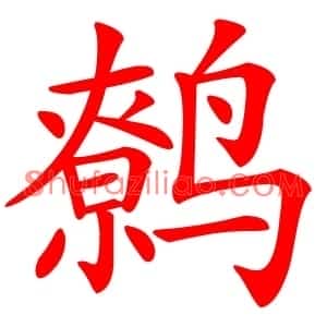 鹩