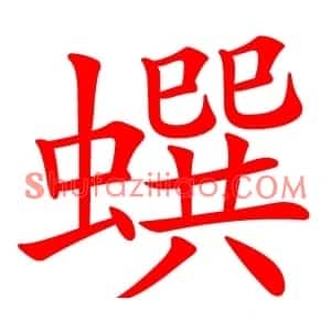 蟤