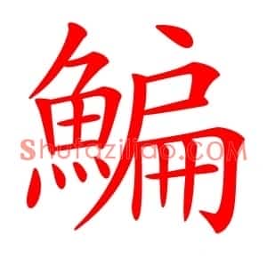 鯿
