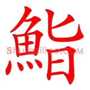 鮨