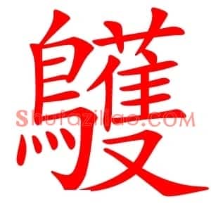 鸌