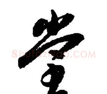 堂字启功毛笔草书书法写法,摘自千字文