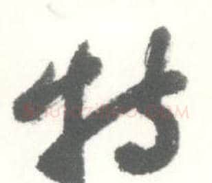特字启功毛笔草书书法写法,摘自临苏轼手札