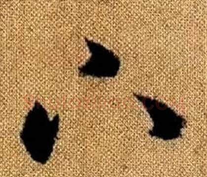 下字赵孟頫毛笔草书写法,摘自真草千字文