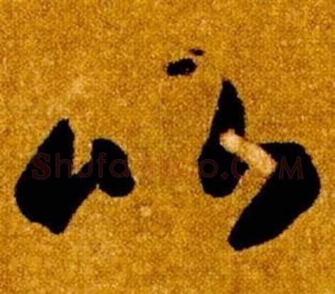 比字智永毛笔草书书法写法,摘自真草千字文