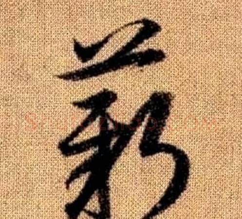 薪字赵孟頫毛笔草书写法,摘自真草千字文