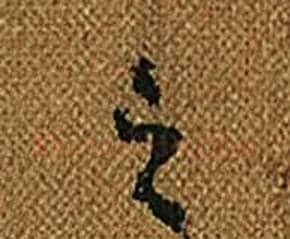 之字怀素毛笔草书书法写法,摘自小草千字文