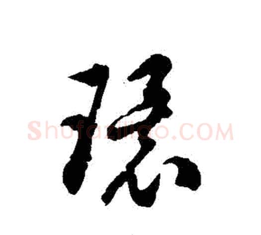 環字徐伯清毛笔草书书法写法,摘自徐伯清毛笔草书书法作品