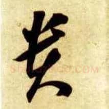 贵毛笔草书写法,摘自隋智永真草千字文