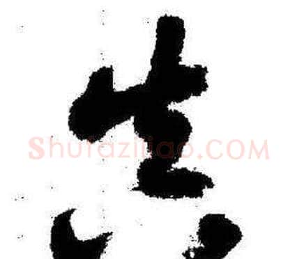 真字启功毛笔草书书法写法,摘自临苏轼诗文帖
