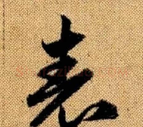 表字赵孟頫毛笔草书写法,摘自真草千字文