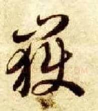 岳毛笔草书写法,摘自隋智永真草千字文