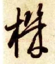 机毛笔草书写法,摘自隋智永真草千字文