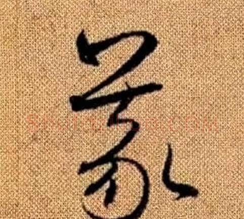 義字赵孟頫毛笔草书写法,摘自真草千字文