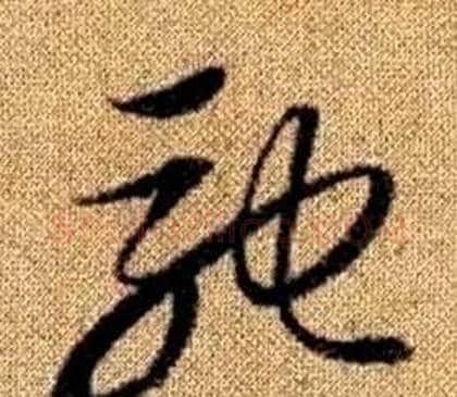 馳字赵孟頫毛笔草书写法,摘自真草千字文