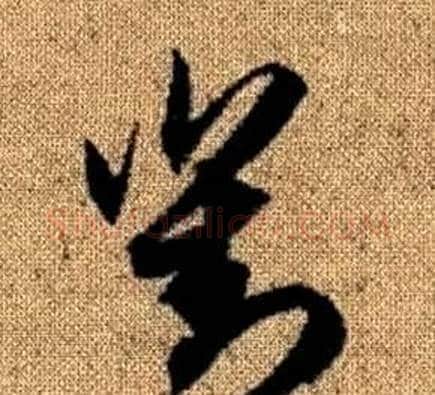 對字赵孟頫毛笔草书写法,摘自真草千字文