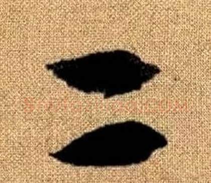二字赵孟頫毛笔草书写法,摘自真草千字文