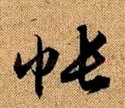 帳字赵孟頫毛笔草书写法,摘自真草千字文