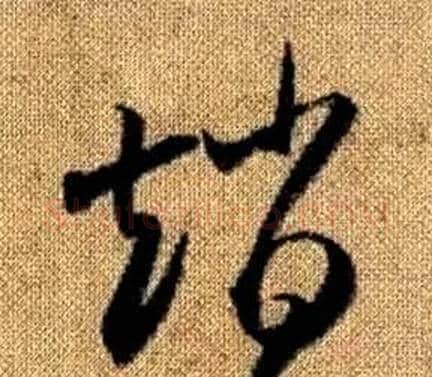 趙字赵孟頫毛笔草书写法,摘自真草千字文