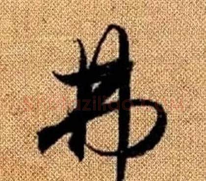 弗字赵孟頫毛笔草书写法,摘自真草千字文