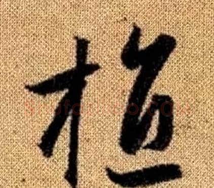 植字赵孟頫毛笔草书写法,摘自真草千字文