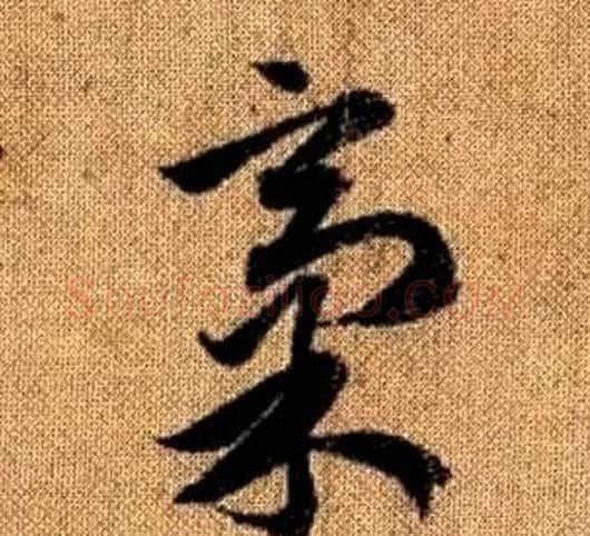 稿字赵孟頫毛笔草书写法,摘自真草千字文