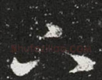 下字王羲之毛笔草书写法,摘自十七帖