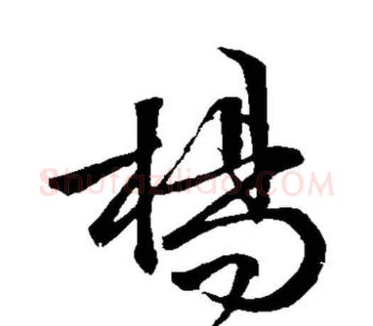 杨字文征明毛笔草书写法,摘自文征明毛笔草书作品
