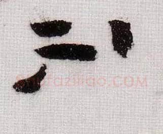 不毛笔草书写法,摘自宋黄庭坚李白忆旧游诗卷