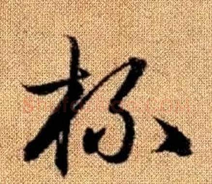 杯字赵孟頫毛笔草书写法,摘自真草千字文